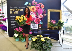 Sirekit Mol of Beekenkamp proudly in front of their new design for Labella Dahlia, with the slogan “From big to small, we have it all!”. She is holding the Medio Fun Golden Eye. One of the varieties that is doing very well worldwide.